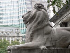 "Fortitude, one of the marble lion statues at the entrance of the New York Public Library in Manhattan."